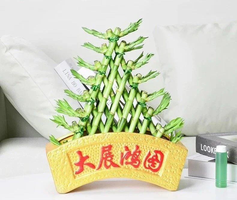 Chưng Tết đừng chỉ mua hoa: Có một loại cây "rẻ bèo" nhưng hút tài lộc cực mạnh, đặt đúng 4 cành lên bàn học con cái thi cử đỗ đạt, gia chủ tiền vào như nước- Ảnh 40.