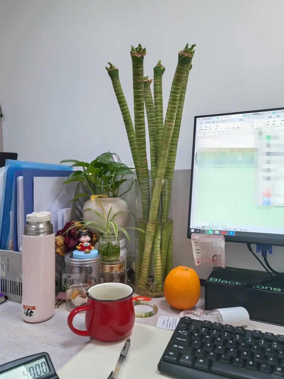 Chưng Tết đừng chỉ mua hoa: Có một loại cây "rẻ bèo" nhưng hút tài lộc cực mạnh, đặt đúng 4 cành lên bàn học con cái thi cử đỗ đạt, gia chủ tiền vào như nước- Ảnh 26.