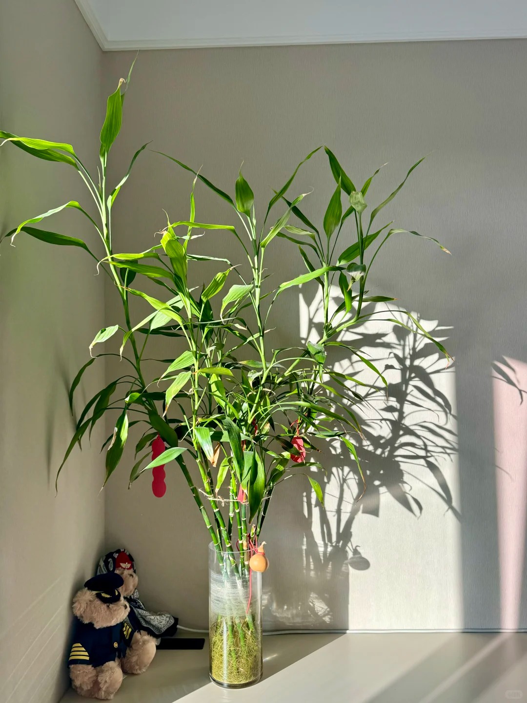 Chưng Tết đừng chỉ mua hoa: Có một loại cây "rẻ bèo" nhưng hút tài lộc cực mạnh, đặt đúng 4 cành lên bàn học con cái thi cử đỗ đạt, gia chủ tiền vào như nước- Ảnh 15.