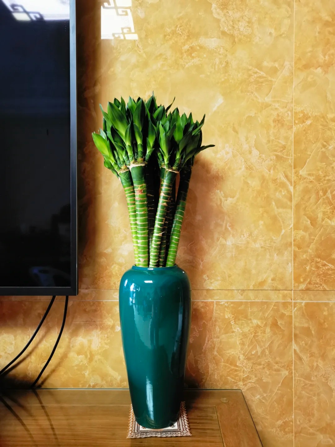 Chưng Tết đừng chỉ mua hoa: Có một loại cây "rẻ bèo" nhưng hút tài lộc cực mạnh, đặt đúng 4 cành lên bàn học con cái thi cử đỗ đạt, gia chủ tiền vào như nước- Ảnh 4.