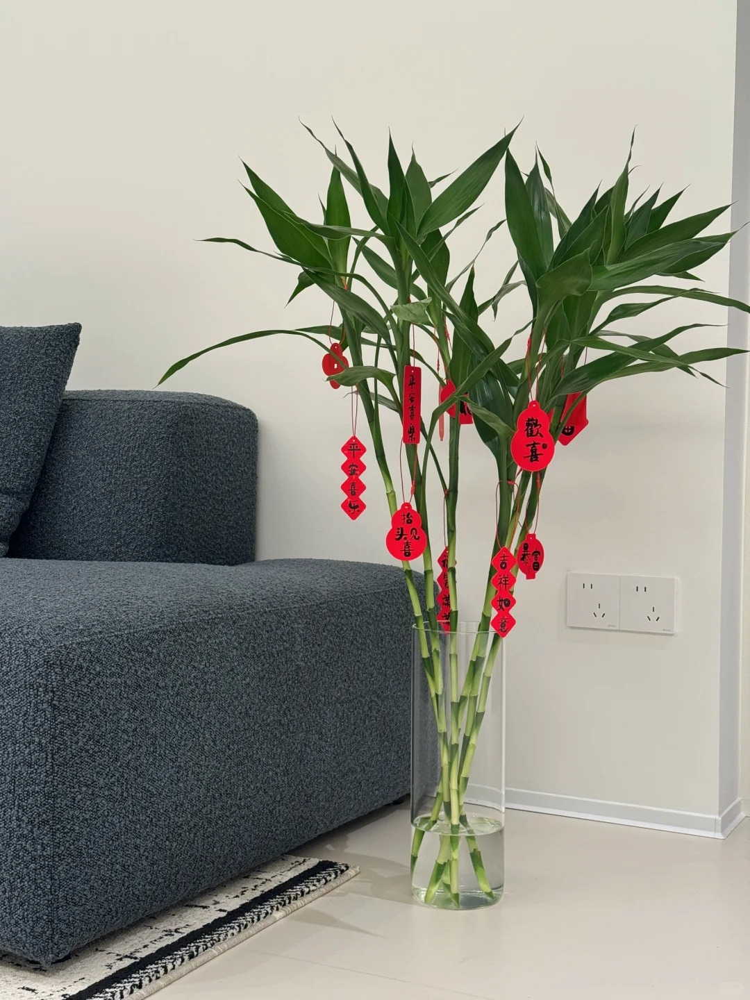 Chưng Tết đừng chỉ mua hoa: Có một loại cây "rẻ bèo" nhưng hút tài lộc cực mạnh, đặt đúng 4 cành lên bàn học con cái thi cử đỗ đạt, gia chủ tiền vào như nước- Ảnh 25.