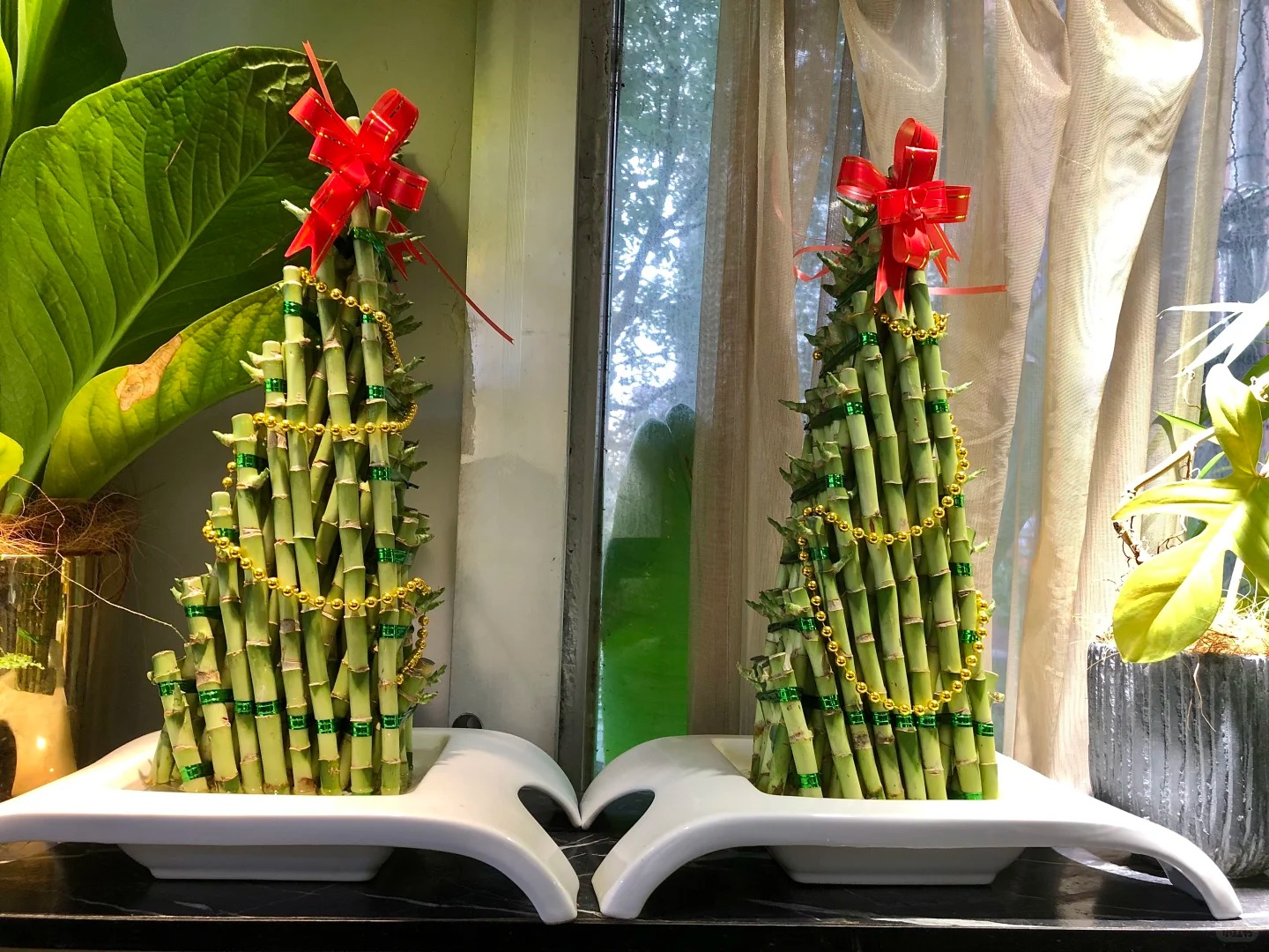 Chưng Tết đừng chỉ mua hoa: Có một loại cây "rẻ bèo" nhưng hút tài lộc cực mạnh, đặt đúng 4 cành lên bàn học con cái thi cử đỗ đạt, gia chủ tiền vào như nước- Ảnh 6.