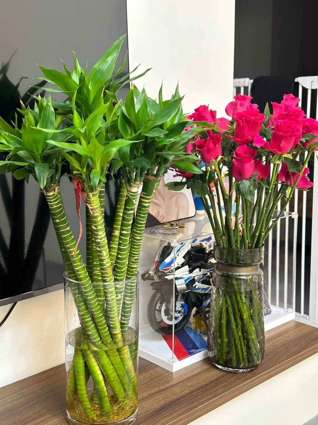 Chưng Tết đừng chỉ mua hoa: Có một loại cây "rẻ bèo" nhưng hút tài lộc cực mạnh, đặt đúng 4 cành lên bàn học con cái thi cử đỗ đạt, gia chủ tiền vào như nước- Ảnh 12.