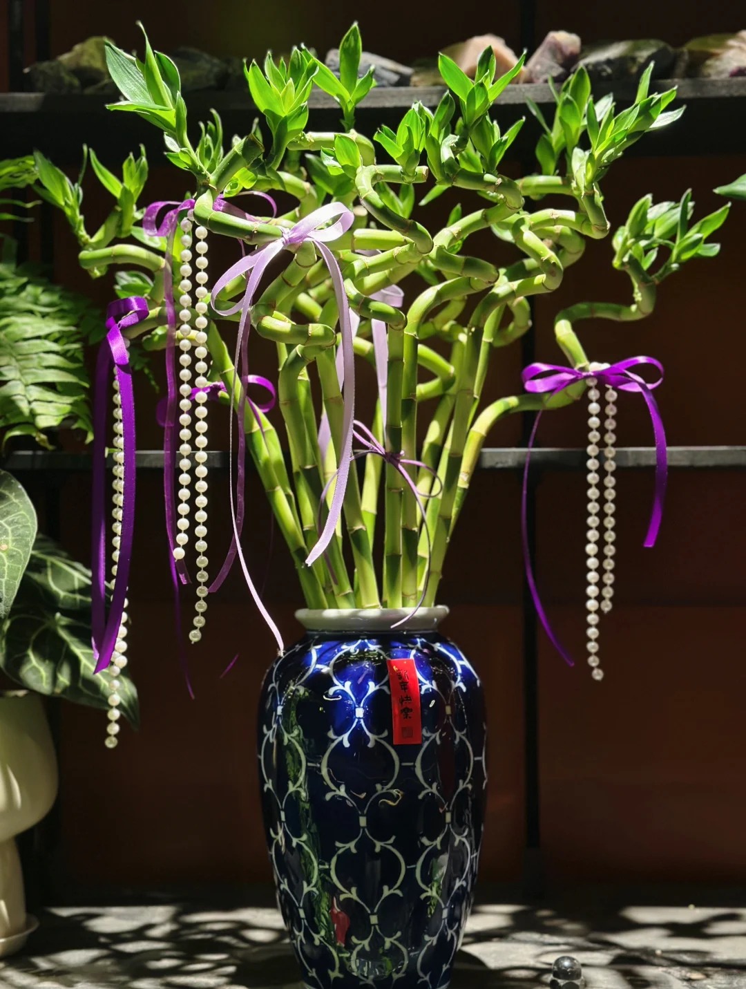 Chưng Tết đừng chỉ mua hoa: Có một loại cây "rẻ bèo" nhưng hút tài lộc cực mạnh, đặt đúng 4 cành lên bàn học con cái thi cử đỗ đạt, gia chủ tiền vào như nước- Ảnh 7.