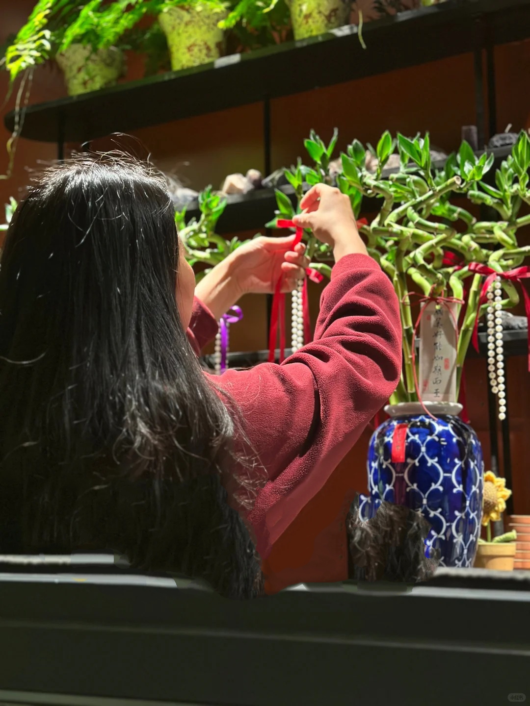 Chưng Tết đừng chỉ mua hoa: Có một loại cây "rẻ bèo" nhưng hút tài lộc cực mạnh, đặt đúng 4 cành lên bàn học con cái thi cử đỗ đạt, gia chủ tiền vào như nước- Ảnh 13.