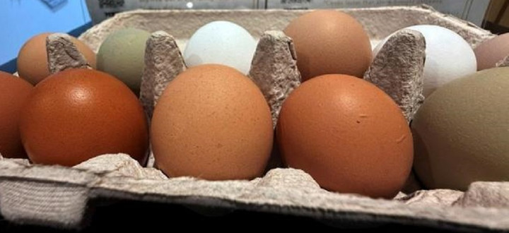 Trứng gà màu trắng và màu nâu loại nào tốt hơn?- Ảnh 3.