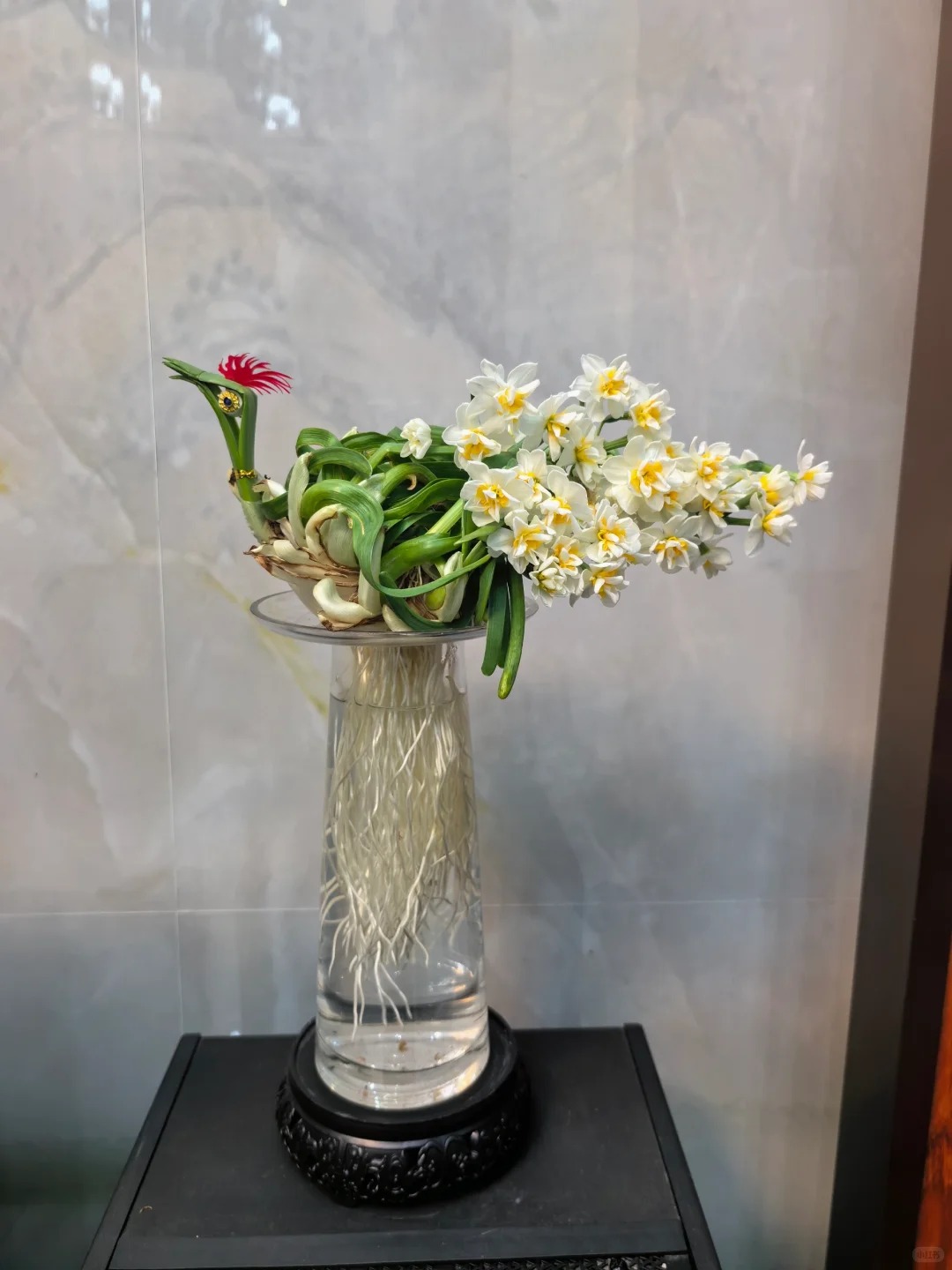 Tết này nhất định phải dưỡng một bát thủy tiên "băng cơ ngọc cốt", vừa sang nhà vừa hút tài lộc đầu năm- Ảnh 14.