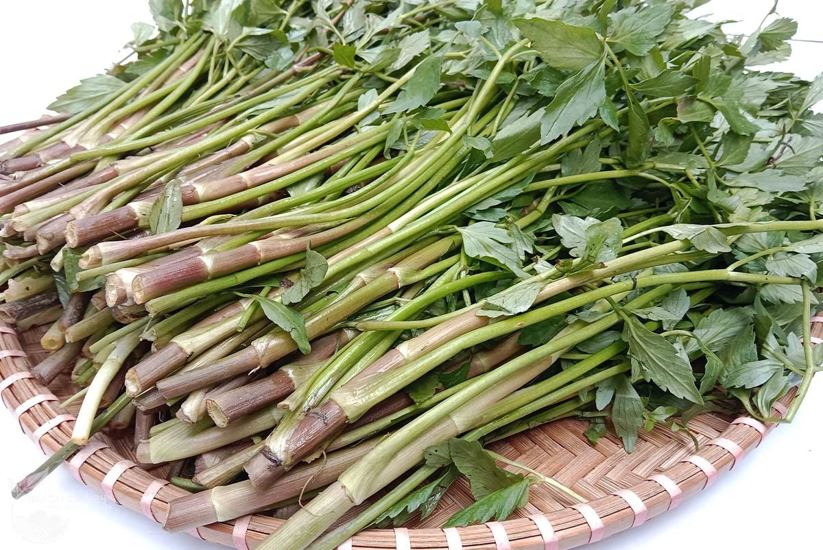 2 loại rau "khoái khẩu" mùa lạnh dễ thành ổ sán, nhất cái số 1 ngoài chợ bán nhiều- Ảnh 3.