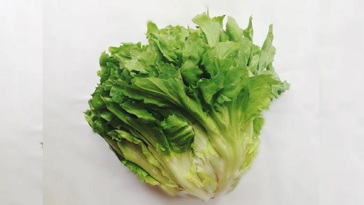 2 loại rau "khoái khẩu" mùa lạnh dễ thành ổ sán, nhất cái số 1 ngoài chợ bán nhiều- Ảnh 1.