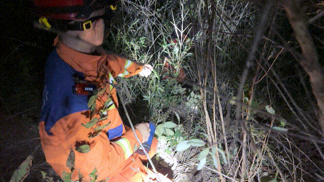 Hai đứa trẻ bỗng mất hút sau lời rỉ tai về "tiên thảo": Phụ huynh nghe xong lạnh cả sống lưng- Ảnh 1.