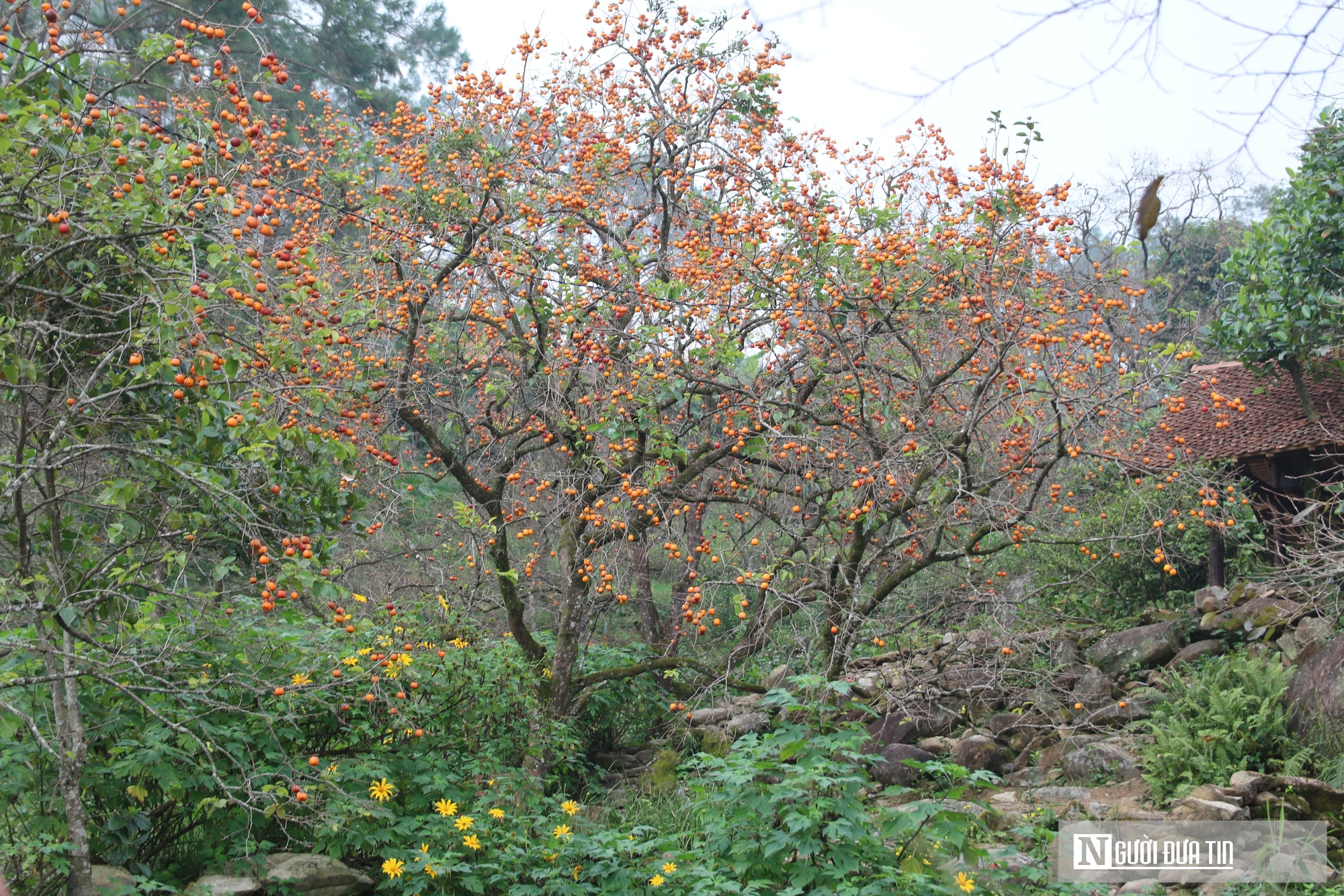Chàng trai 9X bỏ “trời Tây” về quê, tạo nên đặc sản đậm hương vị quê nhà- Ảnh 1.