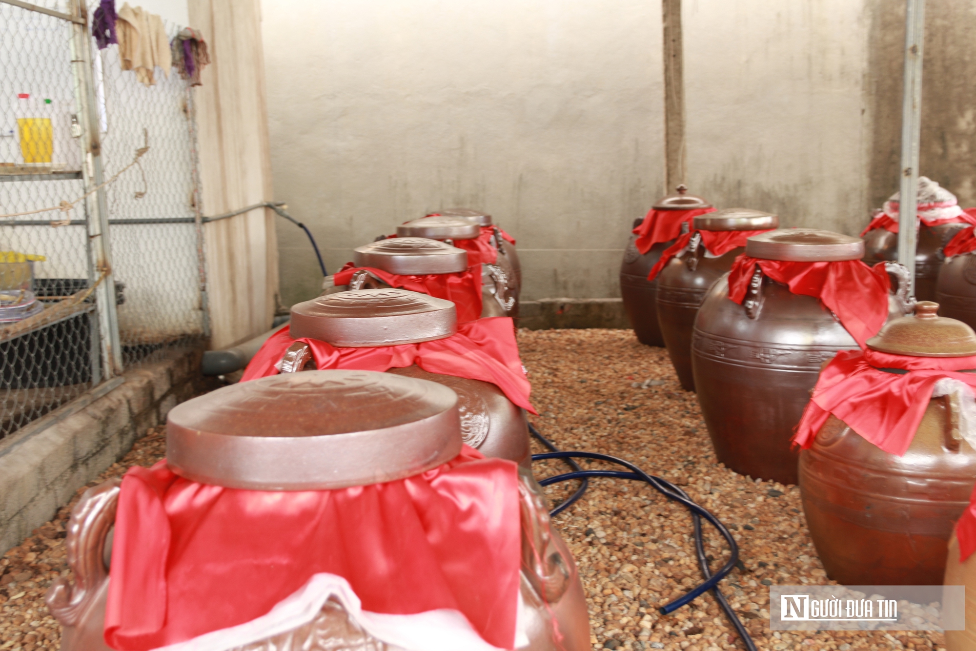 Chàng trai 9X bỏ “trời Tây” về quê, tạo nên đặc sản đậm hương vị quê nhà- Ảnh 6.