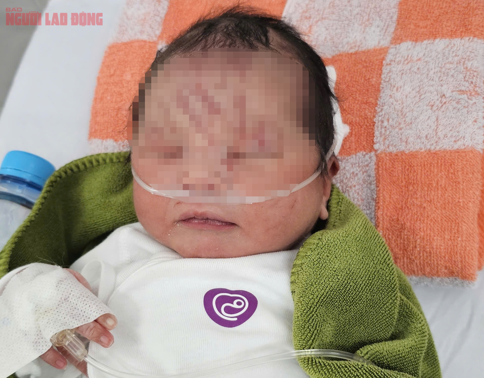 NÓNG: Một trẻ sơ sinh nghi bị "chôn sống" tại vườn cao su- Ảnh 1. NÓNG: Một trẻ sơ sinh nghi bị "chôn sống" tại vườn cao su- Ảnh 1.