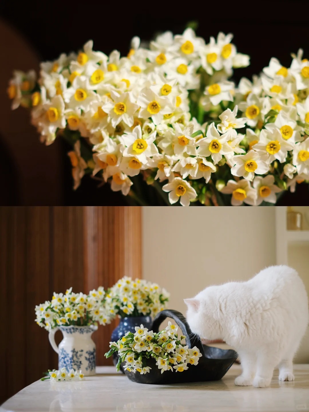 Tết này nhất định phải dưỡng một bát thủy tiên "băng cơ ngọc cốt", vừa sang nhà vừa hút tài lộc đầu năm- Ảnh 7.