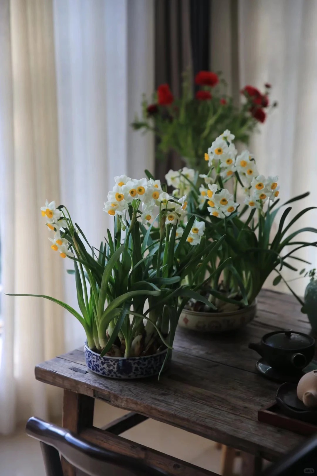 Tết này nhất định phải dưỡng một bát thủy tiên "băng cơ ngọc cốt", vừa sang nhà vừa hút tài lộc đầu năm- Ảnh 8.