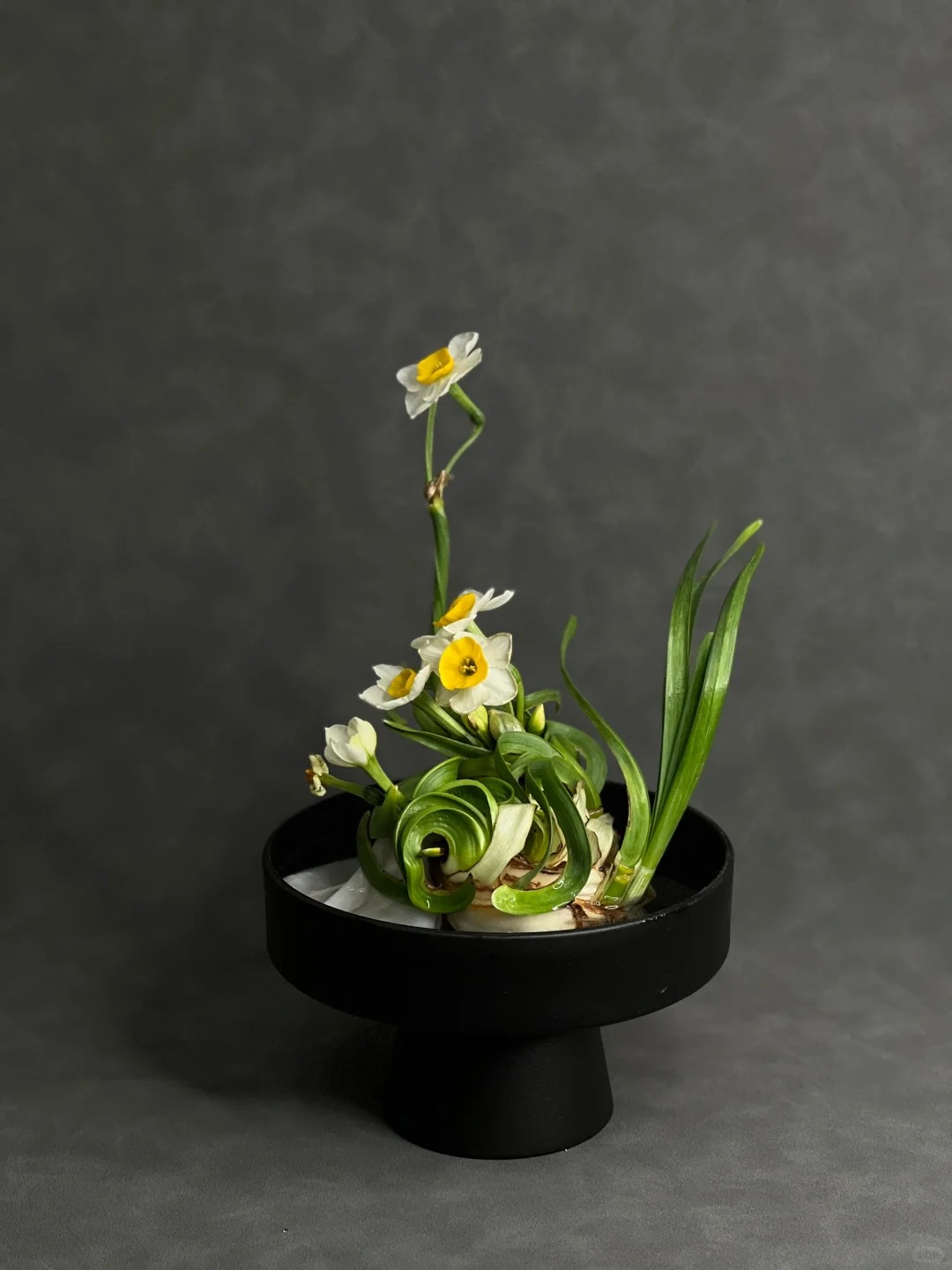 Tết này nhất định phải dưỡng một bát thủy tiên "băng cơ ngọc cốt", vừa sang nhà vừa hút tài lộc đầu năm- Ảnh 28.