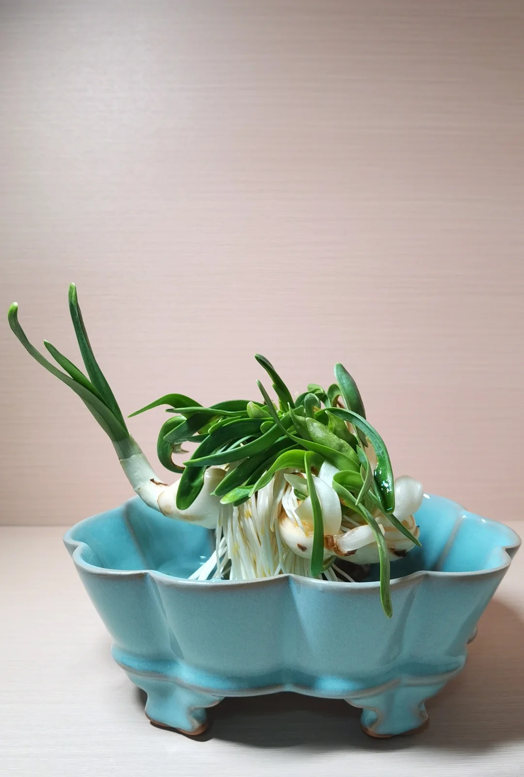 Tết này nhất định phải dưỡng một bát thủy tiên "băng cơ ngọc cốt", vừa sang nhà vừa hút tài lộc đầu năm- Ảnh 34.