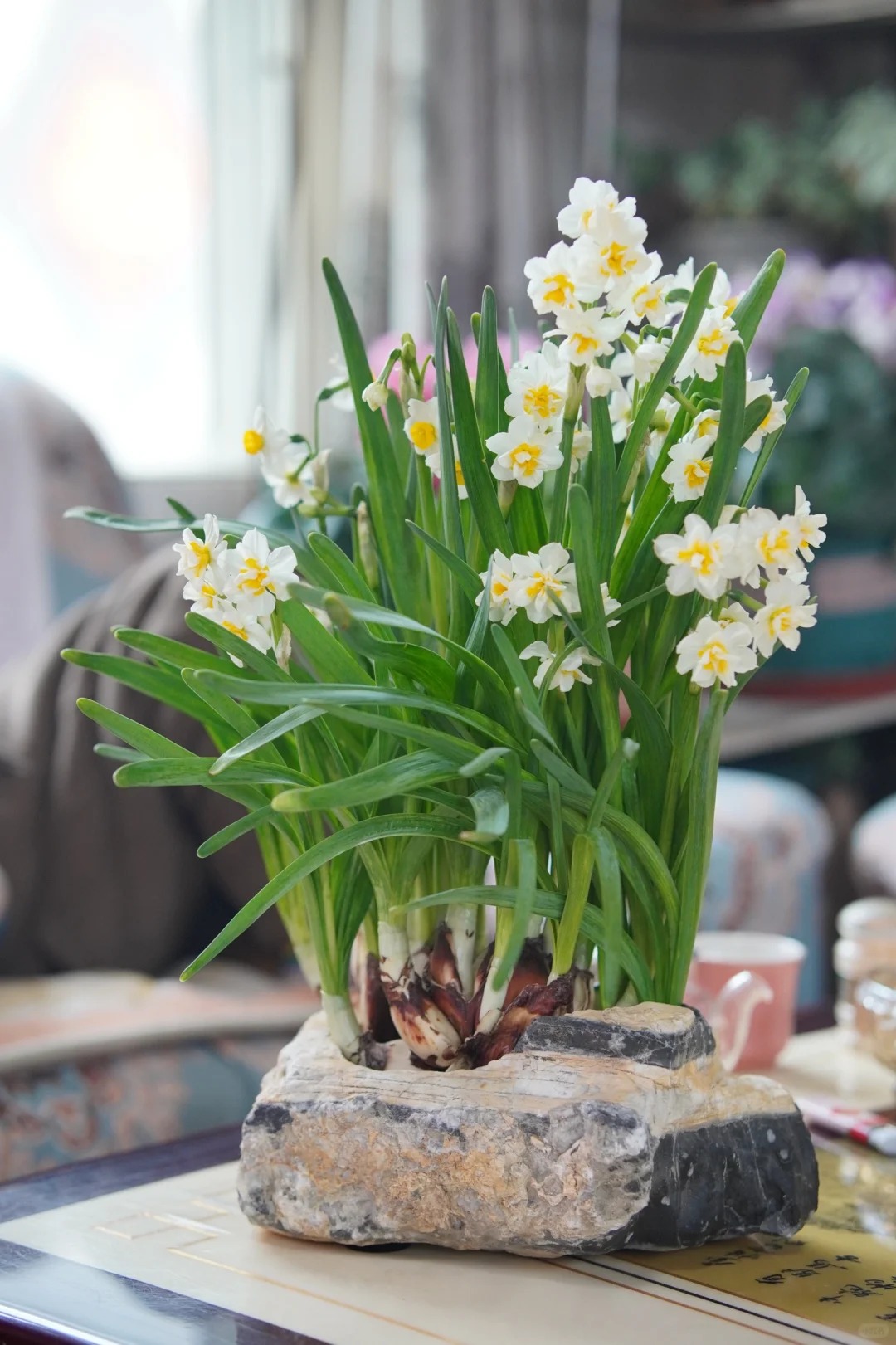 Tết này nhất định phải dưỡng một bát thủy tiên "băng cơ ngọc cốt", vừa sang nhà vừa hút tài lộc đầu năm- Ảnh 19.