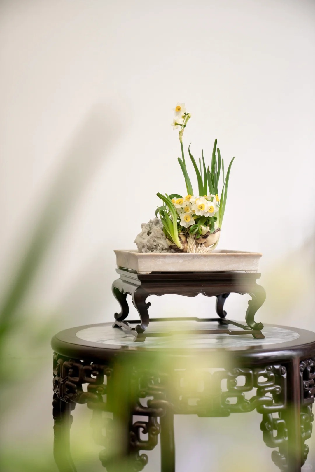 Tết này nhất định phải dưỡng một bát thủy tiên "băng cơ ngọc cốt", vừa sang nhà vừa hút tài lộc đầu năm- Ảnh 29.