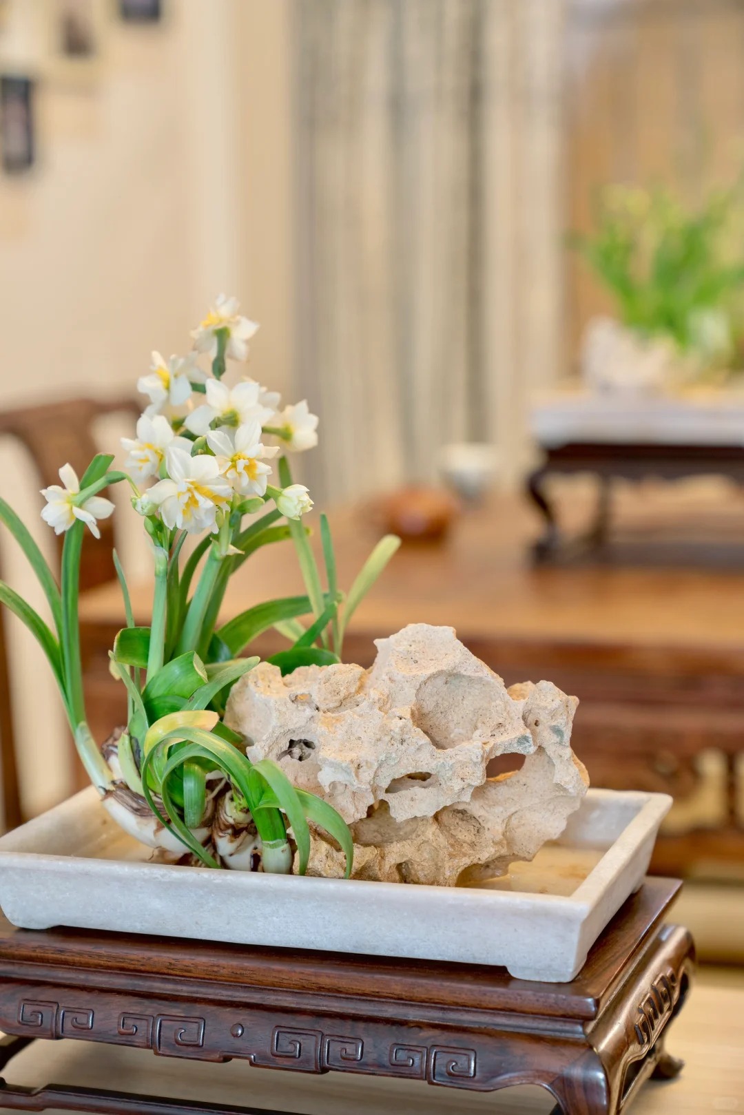 Tết này nhất định phải dưỡng một bát thủy tiên "băng cơ ngọc cốt", vừa sang nhà vừa hút tài lộc đầu năm- Ảnh 30.