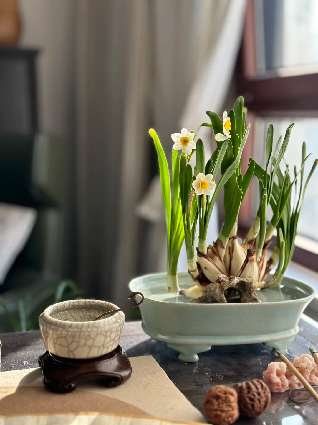 Tết này nhất định phải dưỡng một bát thủy tiên "băng cơ ngọc cốt", vừa sang nhà vừa hút tài lộc đầu năm- Ảnh 27.