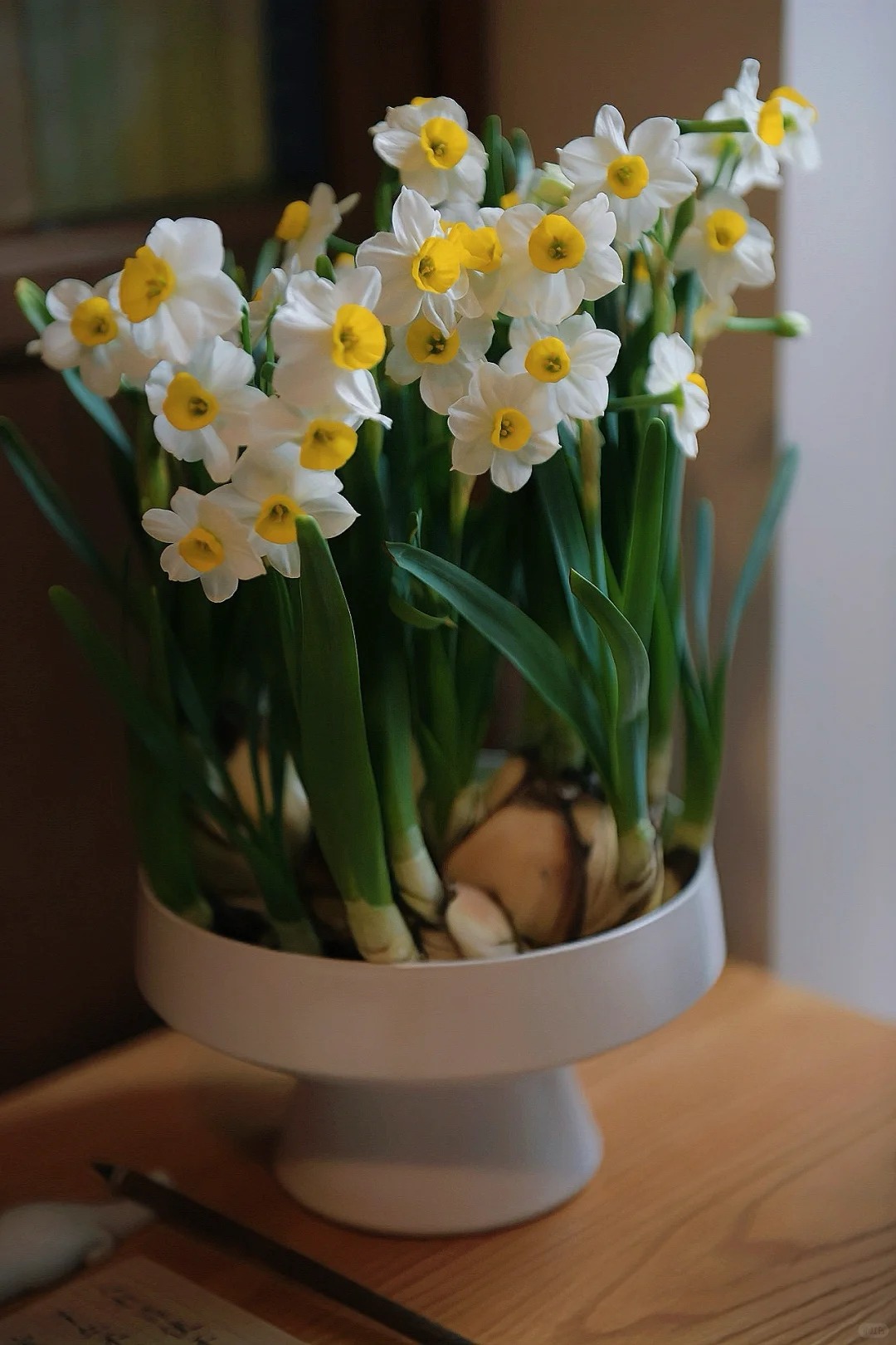 Tết này nhất định phải dưỡng một bát thủy tiên "băng cơ ngọc cốt", vừa sang nhà vừa hút tài lộc đầu năm- Ảnh 38.