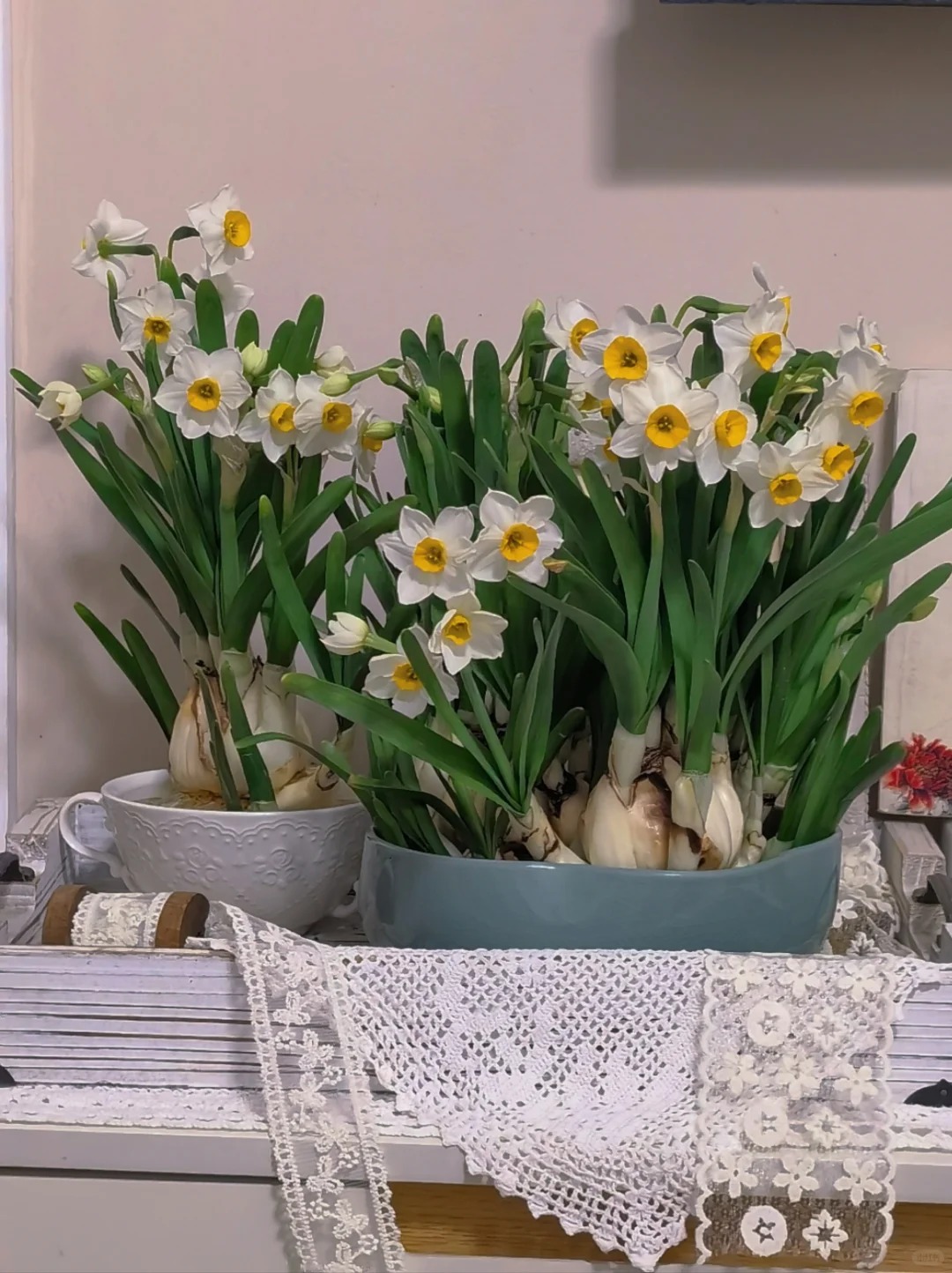 Tết này nhất định phải dưỡng một bát thủy tiên "băng cơ ngọc cốt", vừa sang nhà vừa hút tài lộc đầu năm- Ảnh 23.