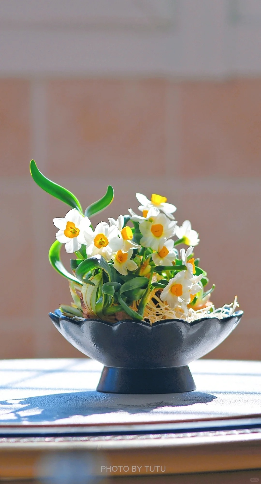 Tết này nhất định phải dưỡng một bát thủy tiên "băng cơ ngọc cốt", vừa sang nhà vừa hút tài lộc đầu năm- Ảnh 16.