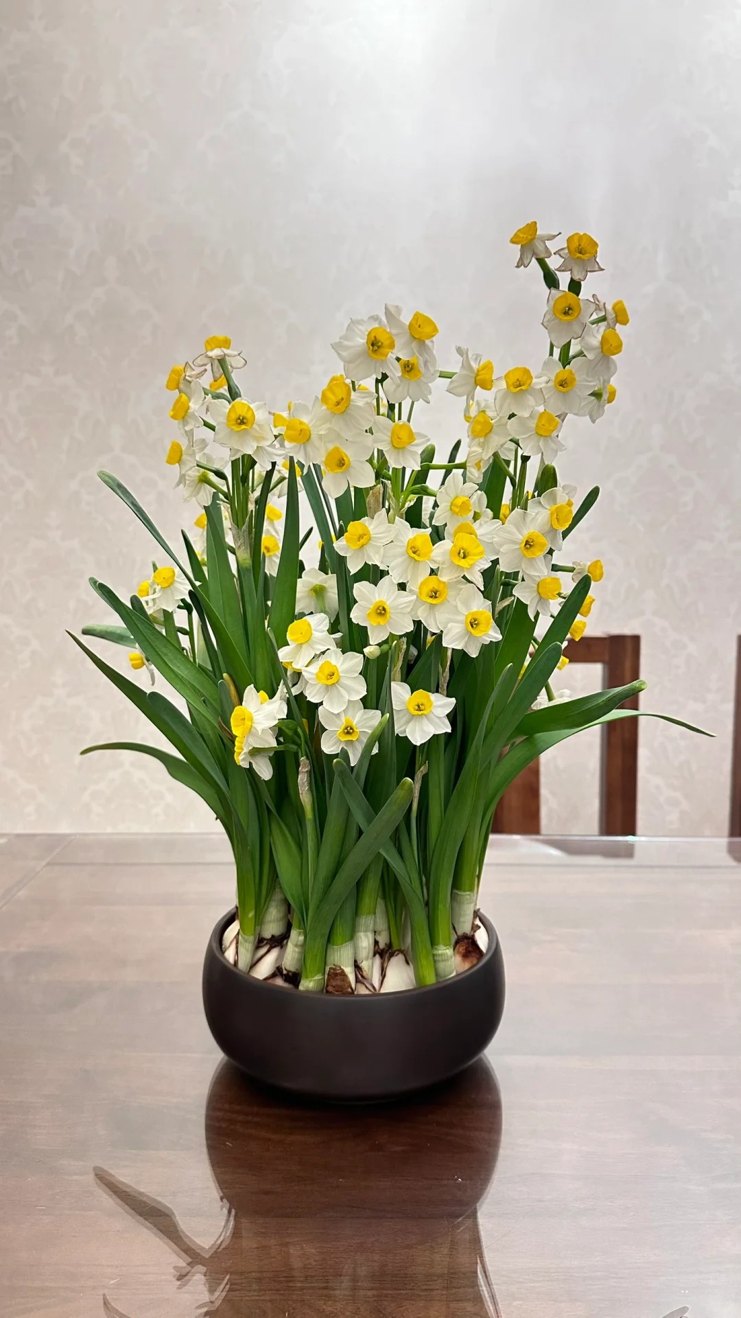 Tết này nhất định phải dưỡng một bát thủy tiên "băng cơ ngọc cốt", vừa sang nhà vừa hút tài lộc đầu năm- Ảnh 26.