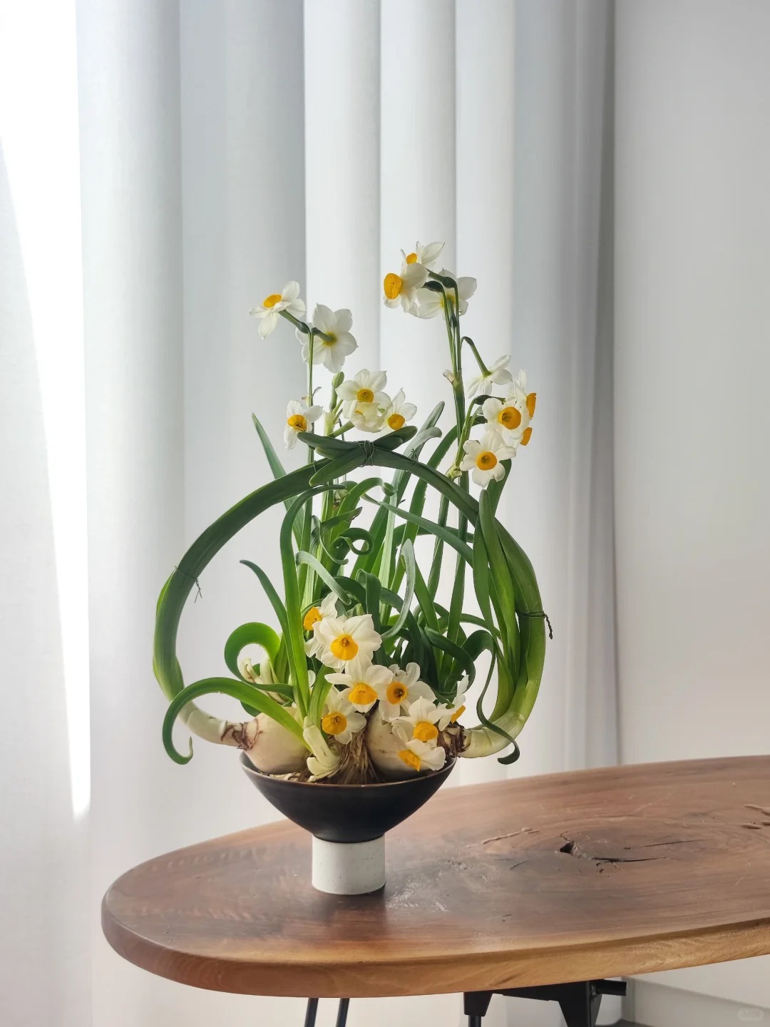 Tết này nhất định phải dưỡng một bát thủy tiên "băng cơ ngọc cốt", vừa sang nhà vừa hút tài lộc đầu năm- Ảnh 11.