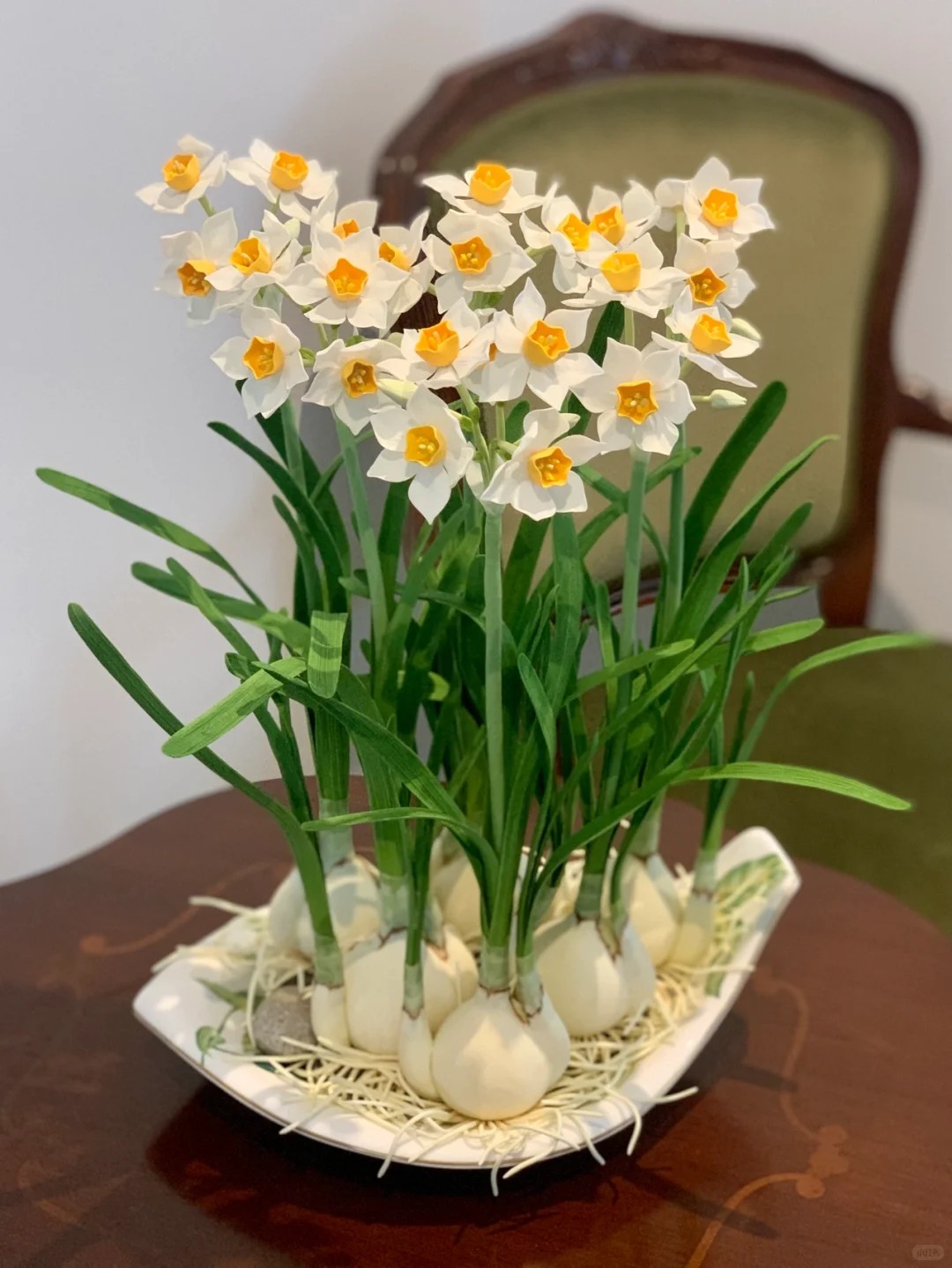 Tết này nhất định phải dưỡng một bát thủy tiên "băng cơ ngọc cốt", vừa sang nhà vừa hút tài lộc đầu năm- Ảnh 31.