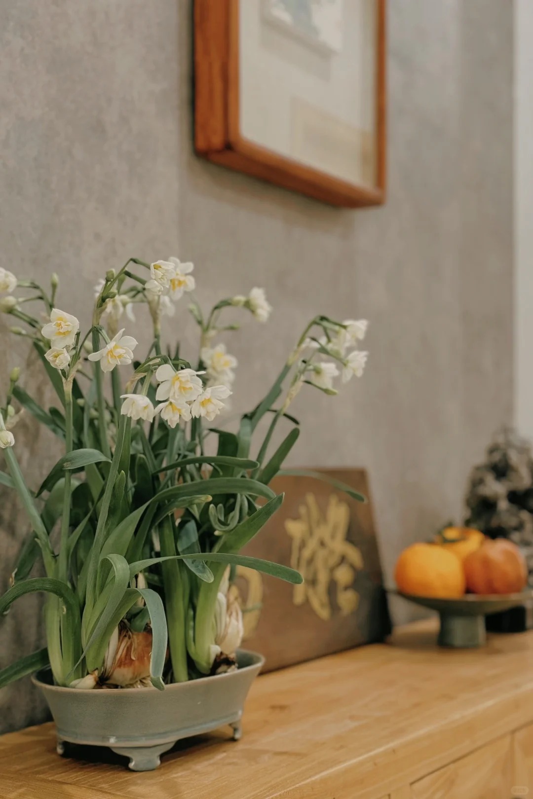 Tết này nhất định phải dưỡng một bát thủy tiên "băng cơ ngọc cốt", vừa sang nhà vừa hút tài lộc đầu năm- Ảnh 12.