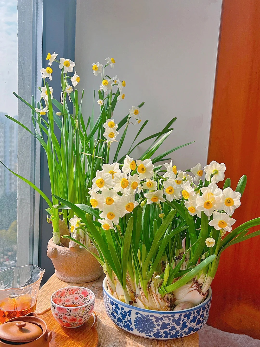 Tết này nhất định phải dưỡng một bát thủy tiên "băng cơ ngọc cốt", vừa sang nhà vừa hút tài lộc đầu năm- Ảnh 41.