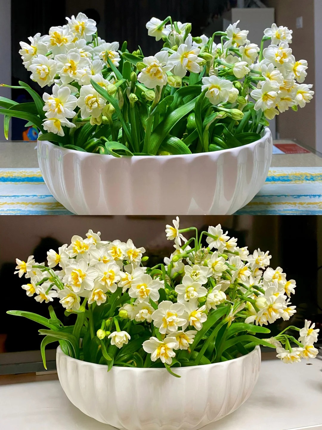 Tết này nhất định phải dưỡng một bát thủy tiên "băng cơ ngọc cốt", vừa sang nhà vừa hút tài lộc đầu năm- Ảnh 24.