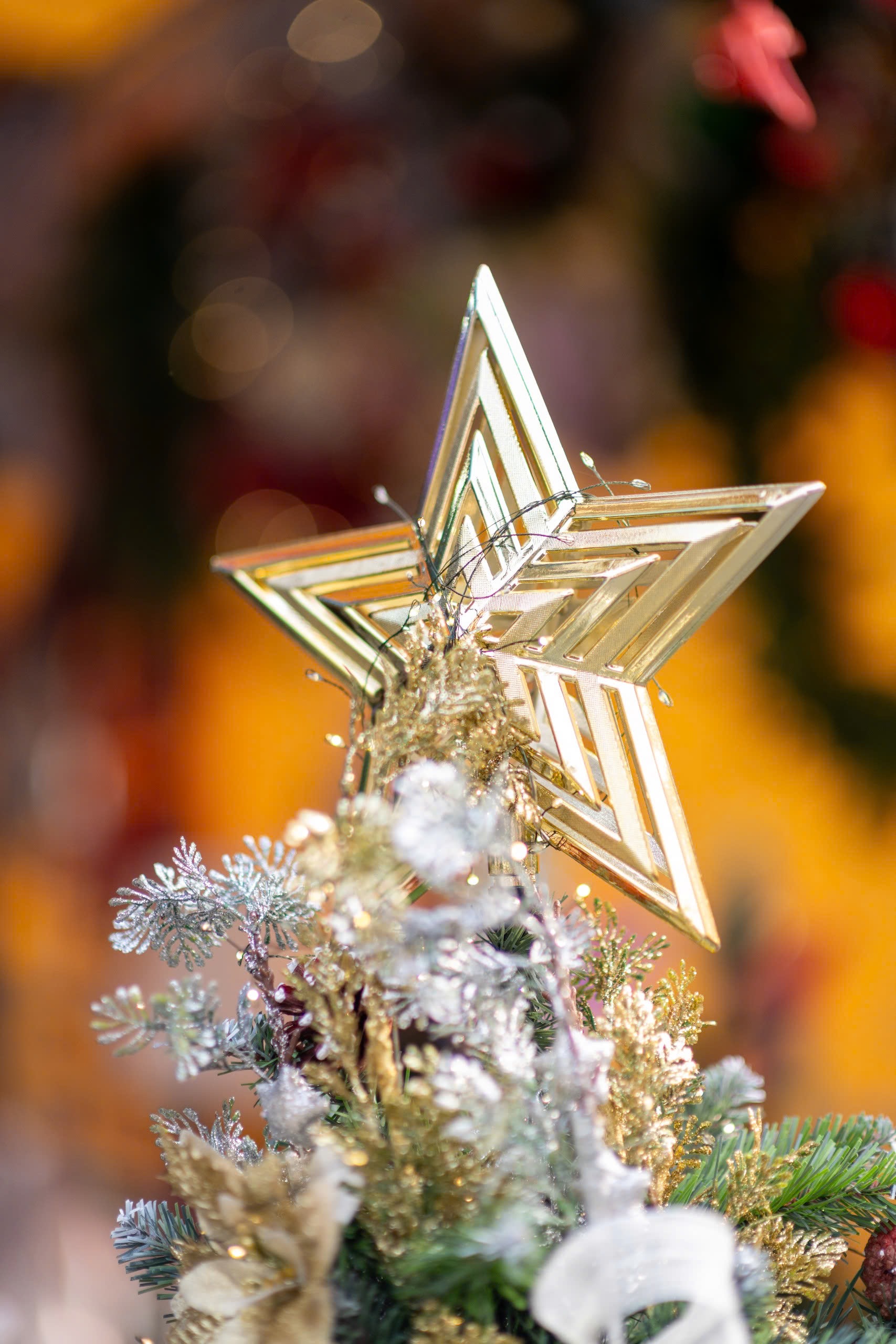 Thắp sáng mùa Giáng sinh trên thành phố mang tên Bác- Ảnh 2.