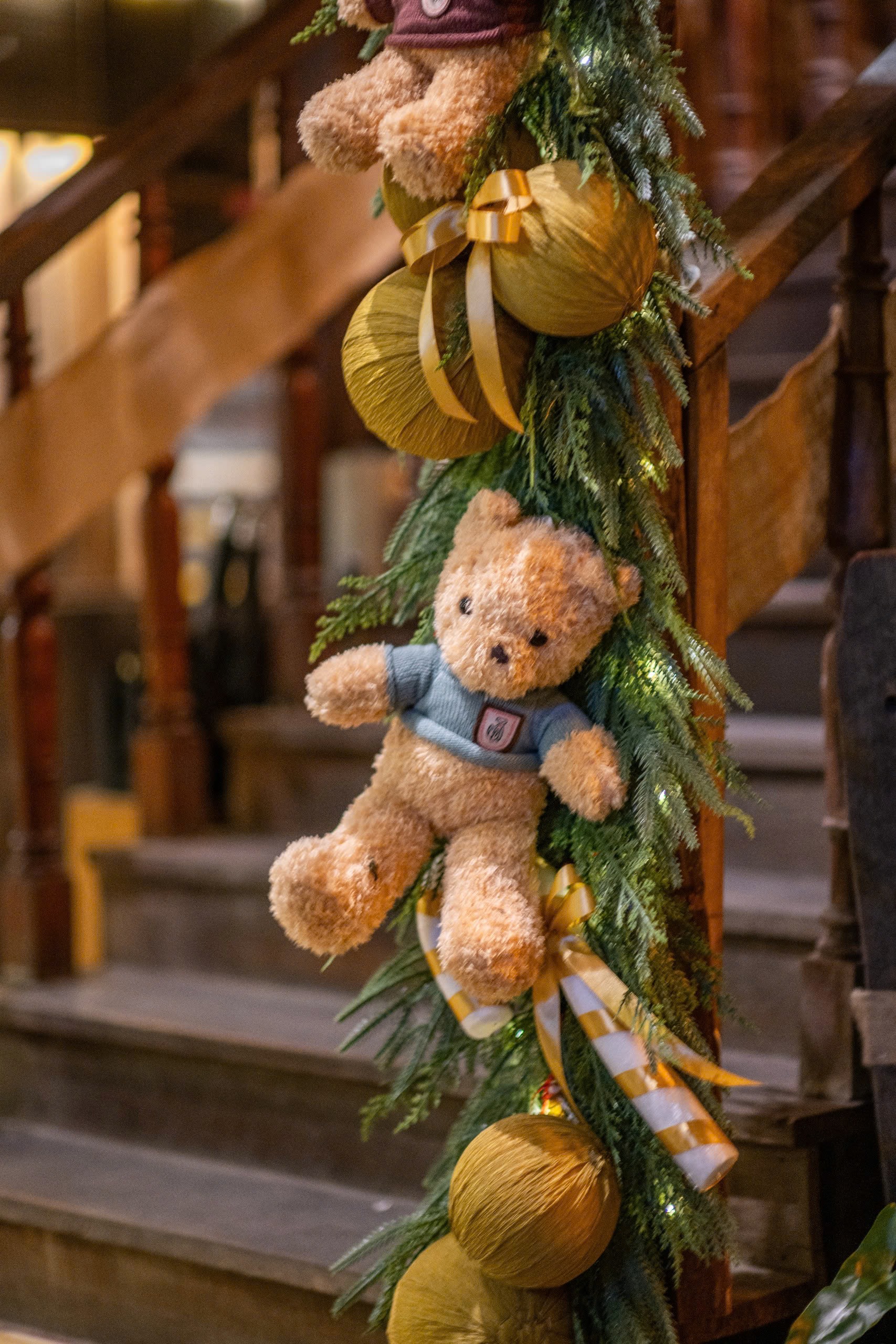 Thắp sáng mùa Giáng sinh trên thành phố mang tên Bác- Ảnh 7.