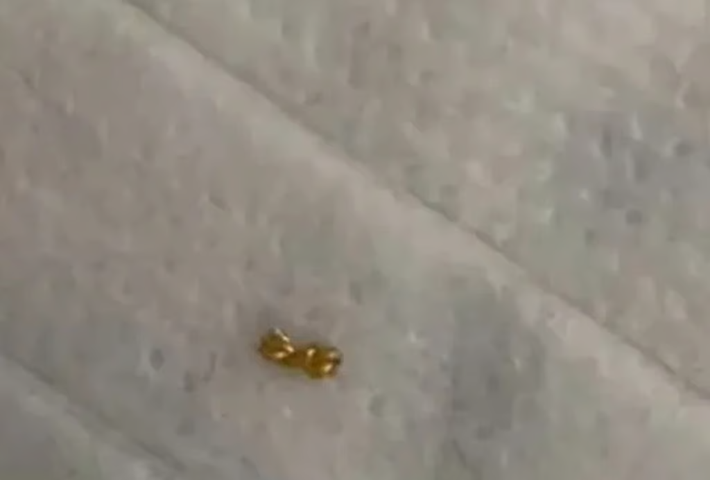 Bố mẹ lén xem camera nhiều giờ, sốc nặng vì điều lạ con trai lén lút làm- Ảnh 2.