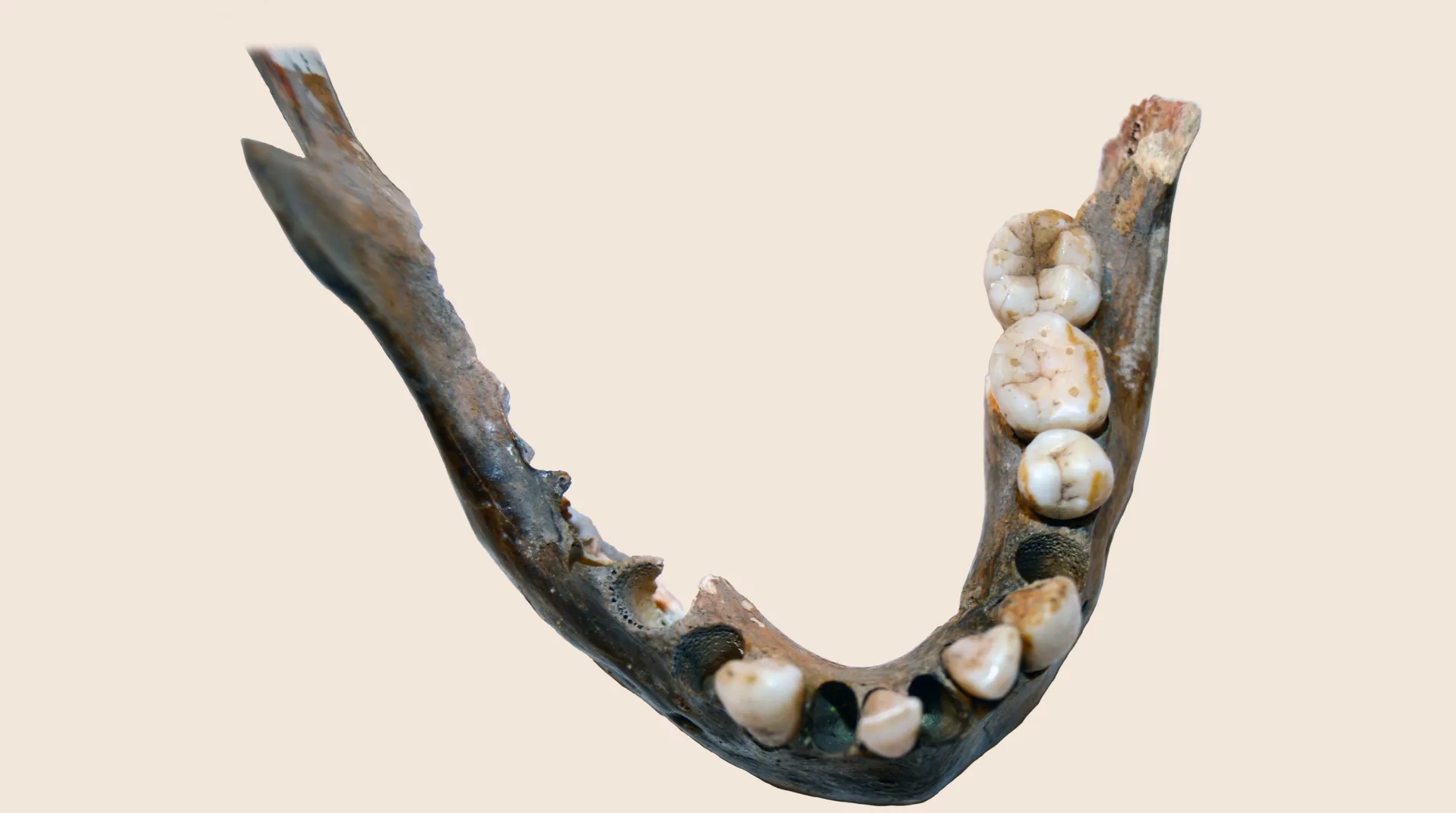 1.400 năm trước vẫn có một nhóm người mang DNA khác hầu hết người hiện đại- Ảnh 1. 1.400 năm trước vẫn có một nhóm người mang DNA khác hầu hết người hiện đại- Ảnh 1.