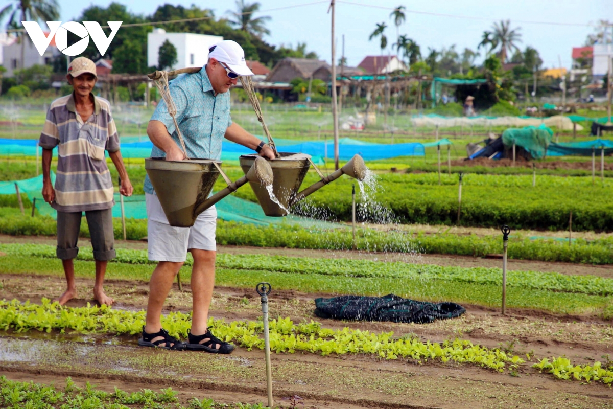 Làng rau Trà Quế xứng danh "Làng Du lịch tốt nhất"- Ảnh 7.