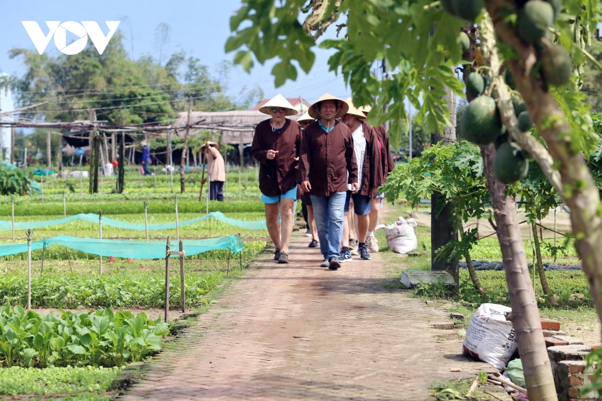 Làng rau Trà Quế xứng danh "Làng Du lịch tốt nhất"- Ảnh 2.