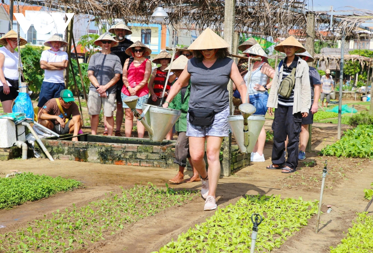 Làng rau Trà Quế xứng danh "Làng Du lịch tốt nhất"- Ảnh 3.