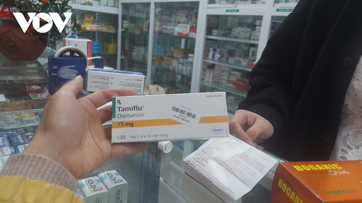 Bác sĩ cảnh báo tình trạng đổ xô mua Tamiflu điều trị cúm A- Ảnh 1.