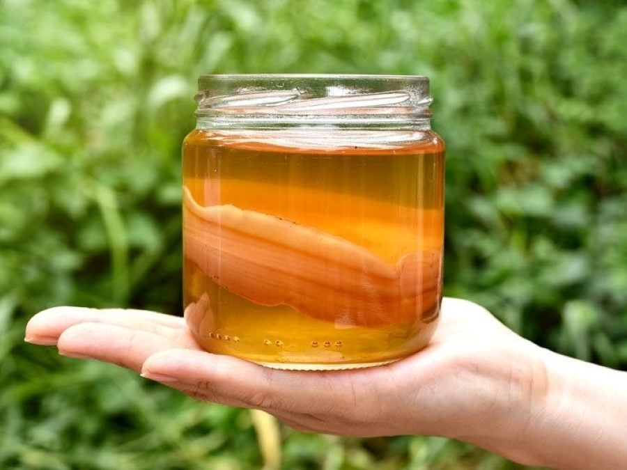 Kombucha được mệnh danh là "vua dưỡng gan" nhưng cẩn trọng loạt tác dụng phụ không ngờ này- Ảnh 1.