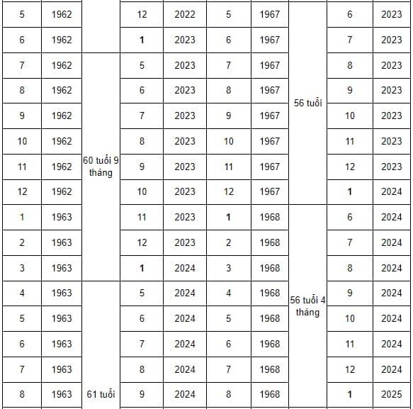 Bảng tính tuổi nghỉ hưu theo năm sinh mới nhất năm 2025- Ảnh 2.