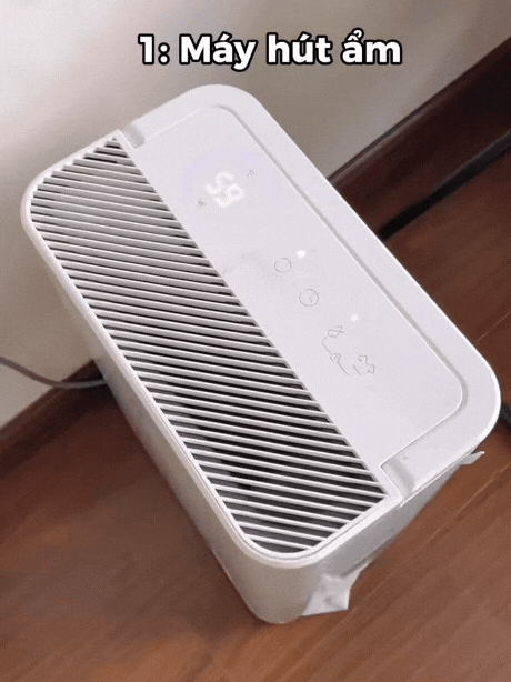 5 món đồ 