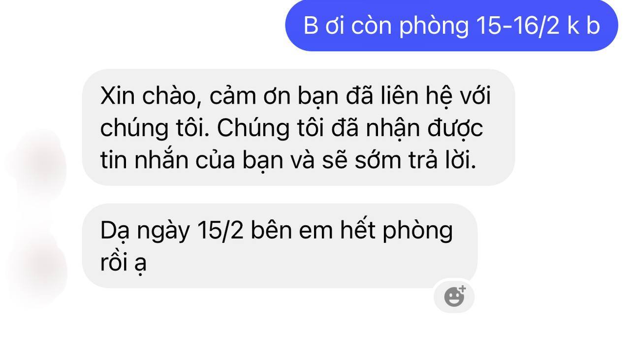 Săn lùng khách sạn ở Mộc Châu: Chủ mang cả phòng gia đình ra hỗ trợ, du khách gọi liên tục 2 ngày đều không có chỗ- Ảnh 6.