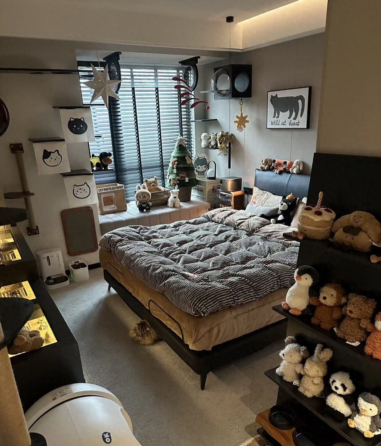 Căn ph&ograve;ng vỏn vẹn 10m&sup2; 