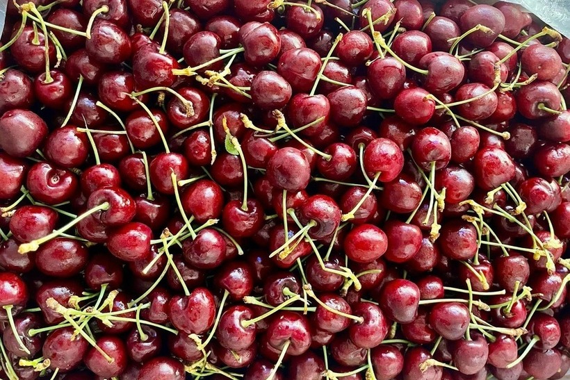 Cherry Chile giá sập sàn chỉ hơn 100.000 đồng/kg, dân tình đổ xô "mua như trẩy hội"- Ảnh 3.