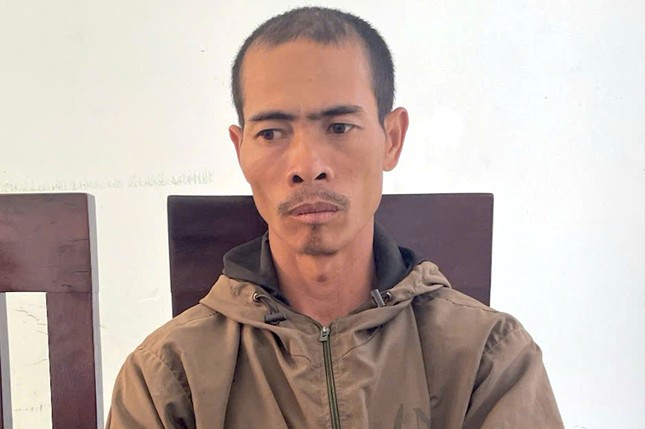 Vụ triệt hạ cả trăm c&acirc;y hồ ti&ecirc;u, c&agrave; ph&ecirc;: G&atilde; anh rể khai do ghen tu&ocirc;ng với em họ của vợ- Ảnh 2.