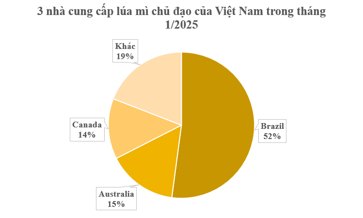 Hàng chục nghìn tấn hàng từ Canada đổ bộ Việt Nam tháng đầu năm: Nhập khẩu tăng hơn 2.000%, là 'báu vật' cả thế giới đều cần- Ảnh 3.